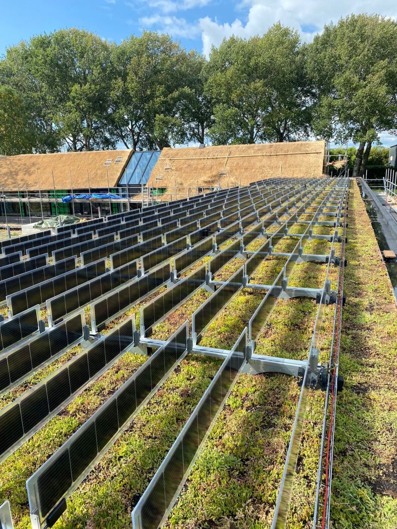 Solrige nyheder fra Nederlandene!&nbsp;🌞