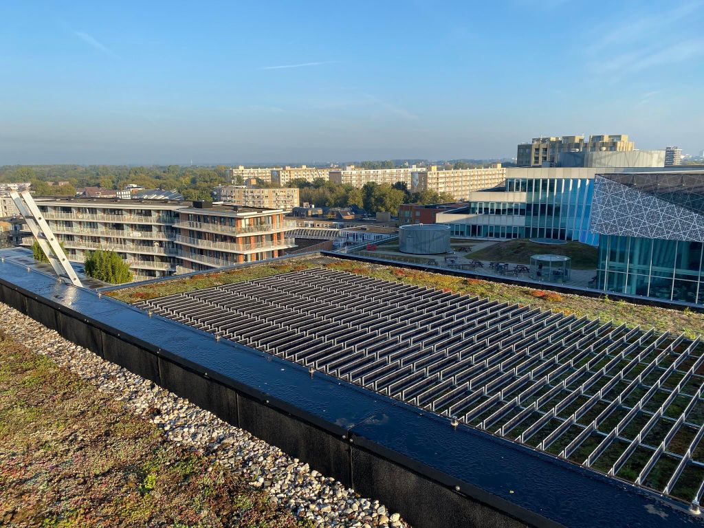 Energi, biodiversitet og skønhed – alt samlet på ét&nbsp;tag!