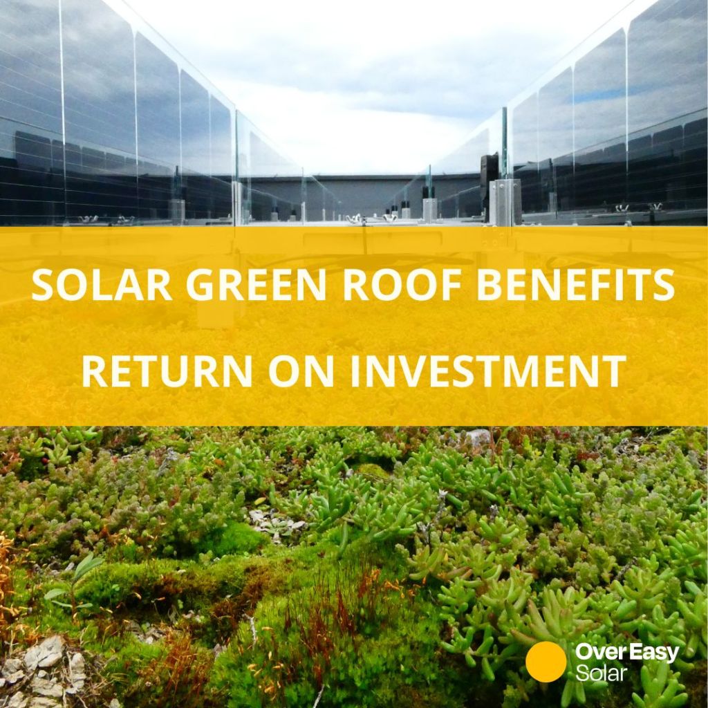 Maksimering af investeringsafkast med grønne tage og&nbsp;solpaneler