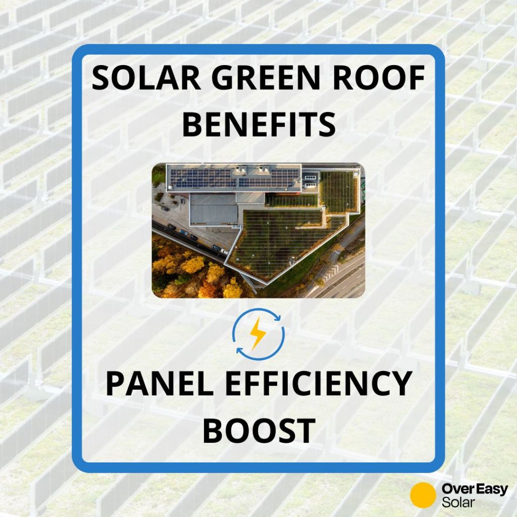 Kan grønne tage rent faktisk få solpaneler til at fungere&nbsp;bedre?
