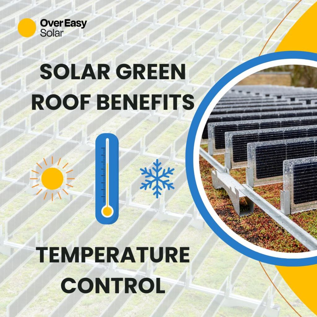 Grønne tage kan reducere varmestrømmen gennem taget med op til&nbsp;90%