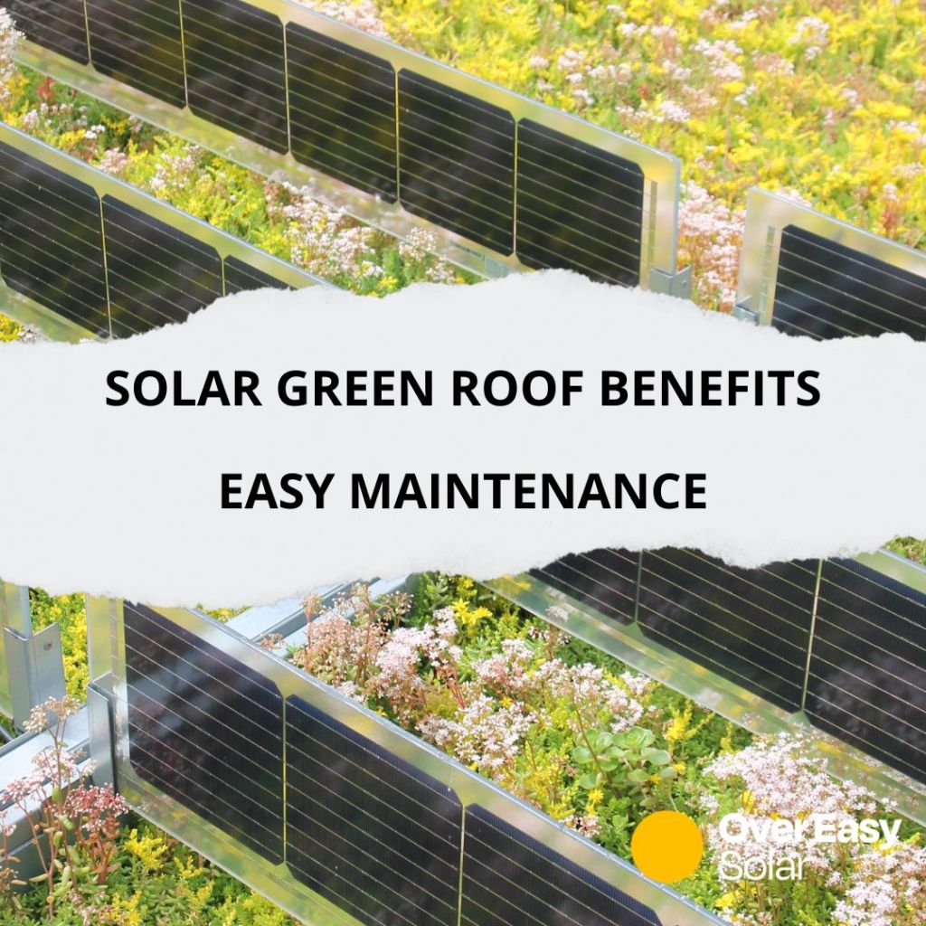 Hvorfor vertikale solpaneler gør grønne tage nemmere at&nbsp;administrere