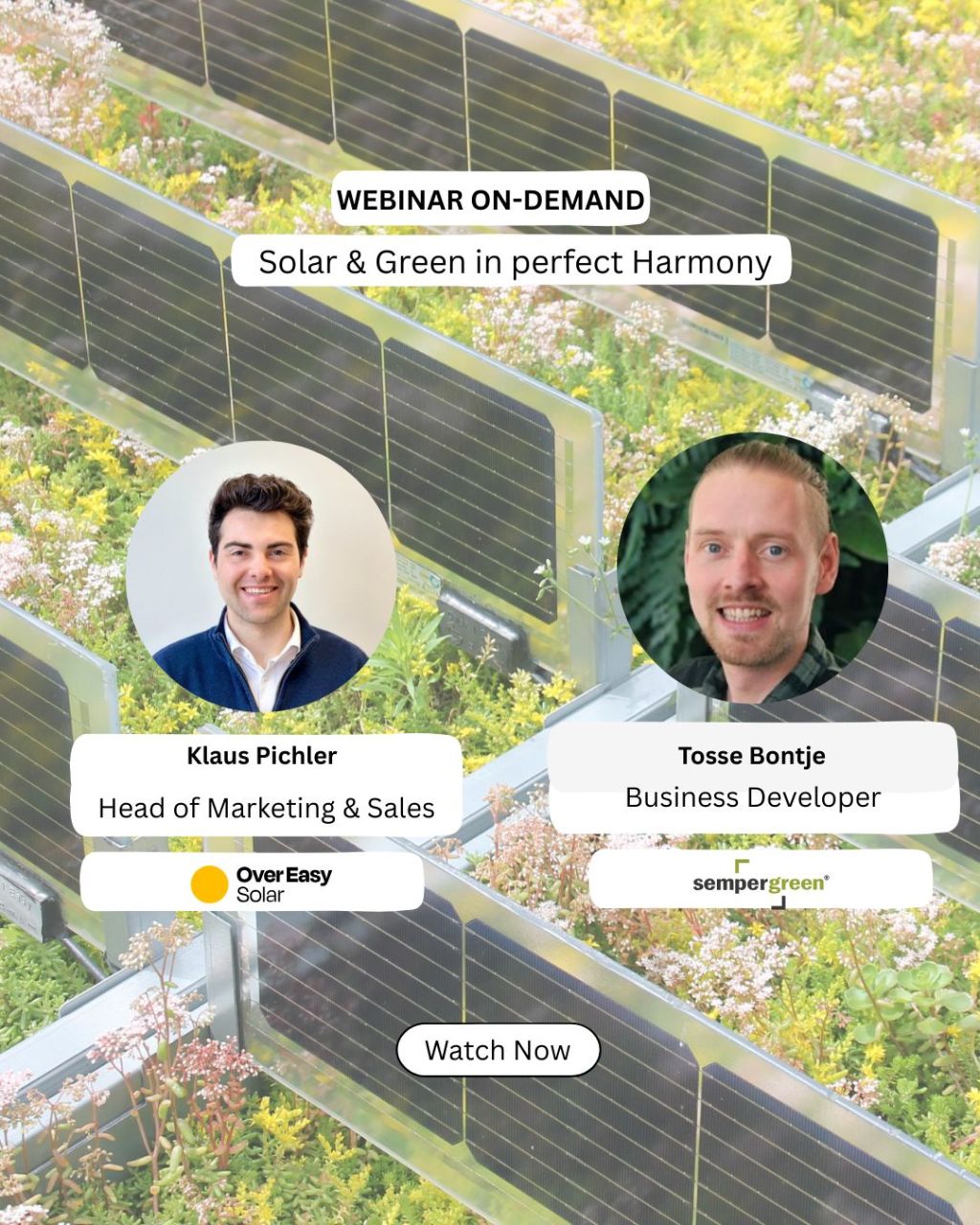 Invitation til Over Easy&nbsp;webinar