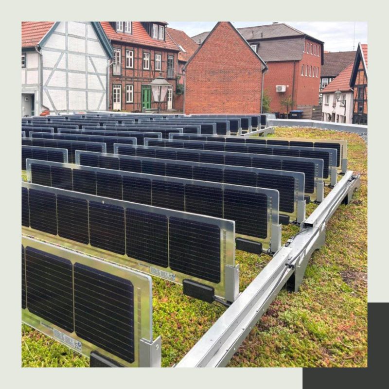 Grønt sedumtag kombineret med vertikalt solcelleanlæg fra Over&nbsp;Easy